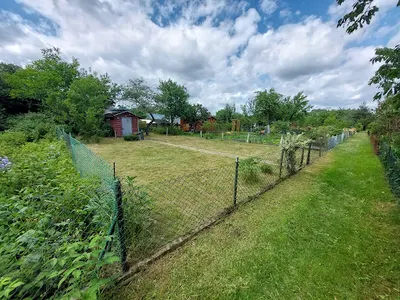 Usługi ogrodnicze-Pielęgnacja ogrodów-Wycinka drzew FS